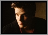 Aktor, David Boreanaz